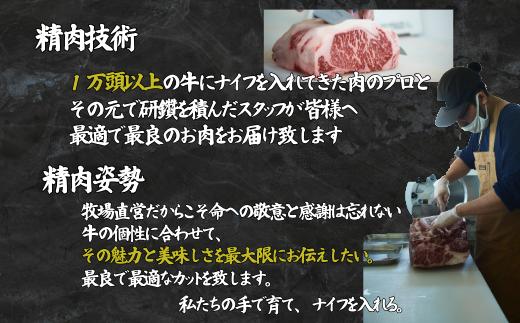 【牧場直送】佐賀牛 赤身ブロック肉 500g：B150-065
