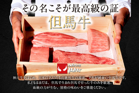 但馬牛 厚切り サーロインステーキ 2枚（300g×2枚入り）合計600g 牛肉 ステーキ  73-07