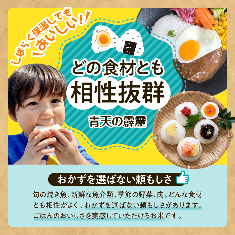 令和7年産 米 5kg 青天の霹靂 （精米） 青森県産 特A ブランド 米 【 青森県 五所川原市 白米 お米 コメ こめ 5キロ 】