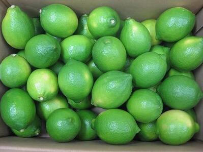 小豆島グリーンレモン 2kg