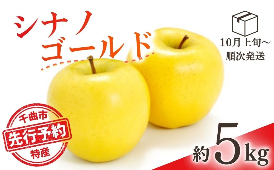
            【2025年先行予約】りんご シナノゴールド(長野県オリジナル品種) 約5kg 林檎 千曲市 長野県産 信州
          