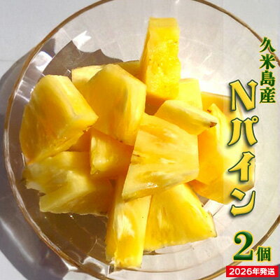 【ふるさと納税】【2026年発送】久米島印商店 パイナップル（ハワイ種N67-10）2個（1.5kg以上×2） パイナップル パイン ハワイ種 Nパイン ハワイ スムースカイエン 酸味 甘み バランス 人気 ジューシー 芳醇 フルーツ 果物 デザート ヨーグルト サラダ ジャム 久米島