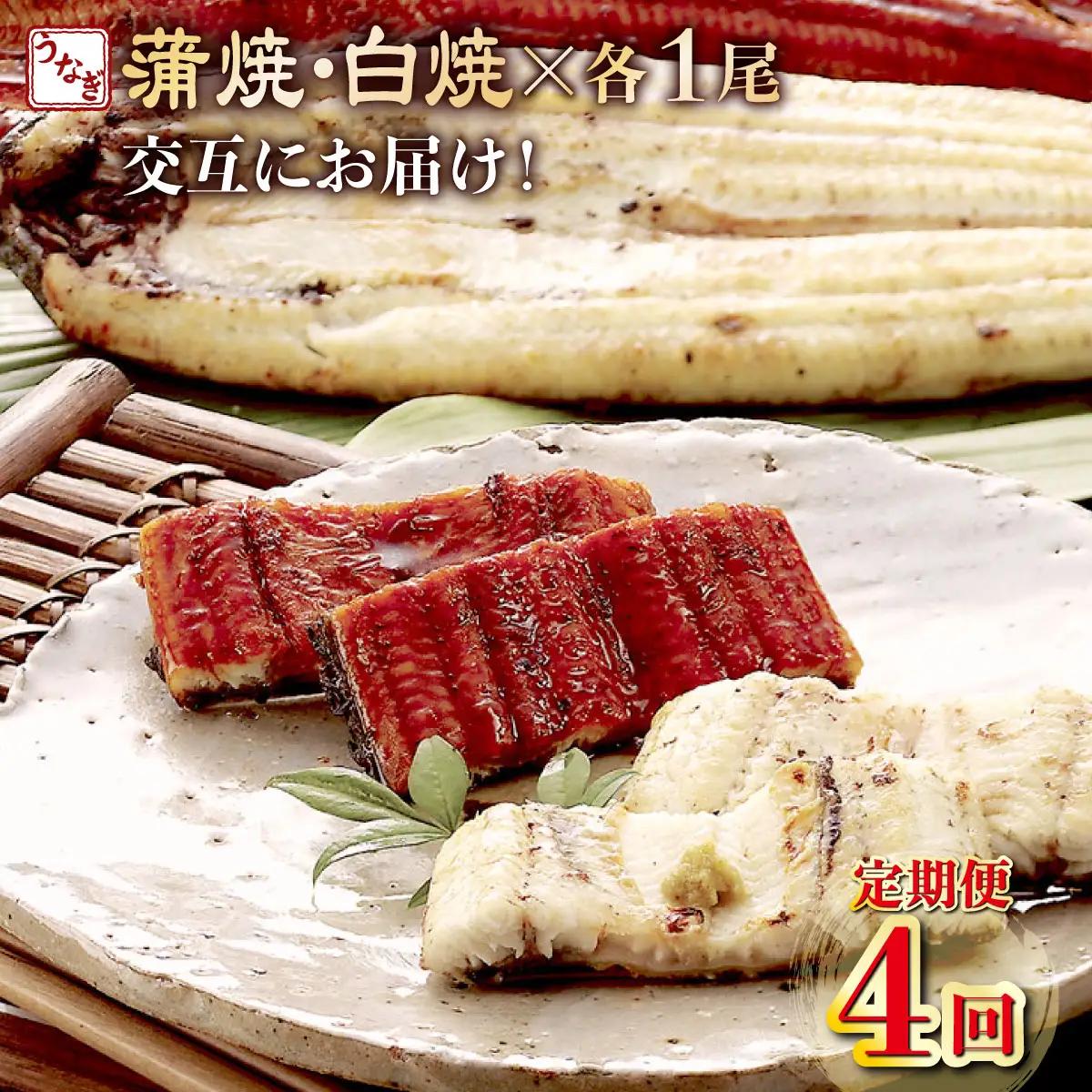 うなぎ蒲焼き 1尾 定期便 4回 うなぎ白焼き yj055