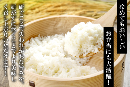 さんべ浮布米（無洗米）定期便（5kg×5回コース）【令和5年産 2023年産 定期便 5回 特別栽培米 コシヒカリ 無洗米 5kg×5回 合計25kg 島根県産 大田市産 減農薬】