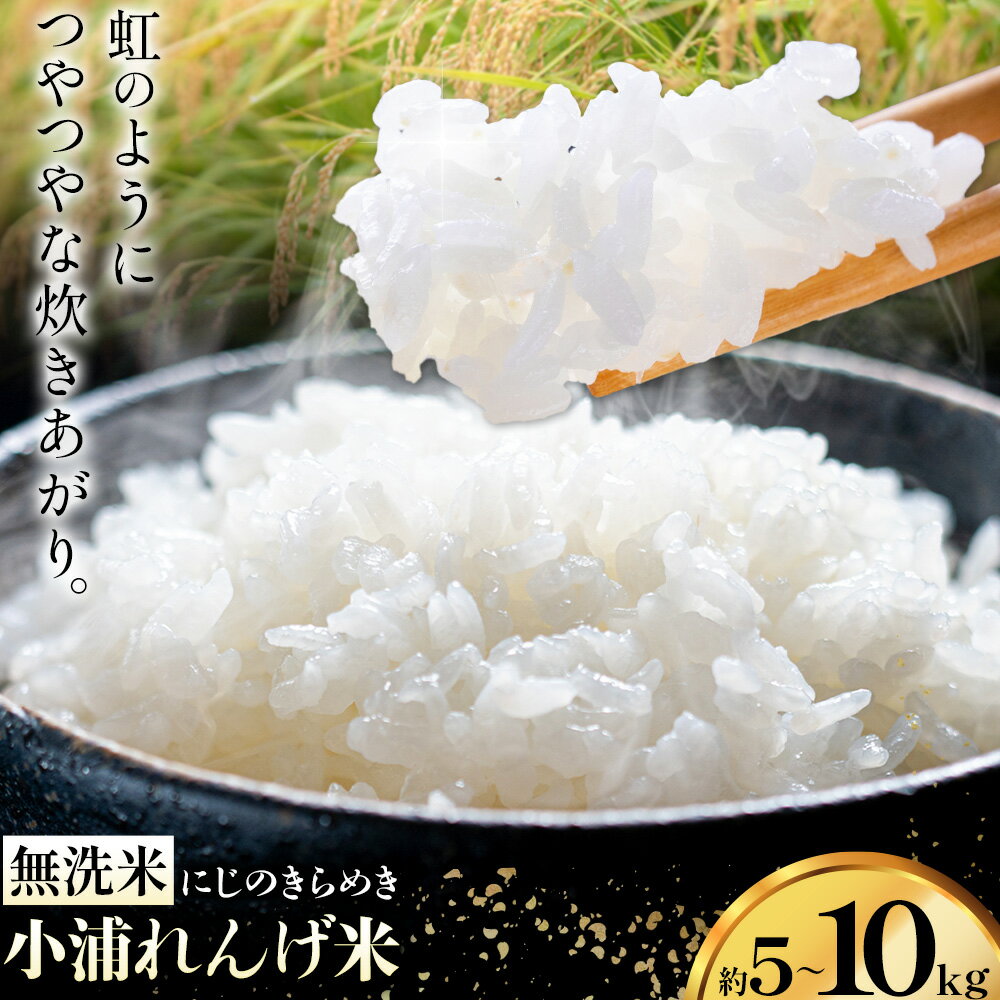 【ふるさと納税】R7年産 新米 約10kg 約5kg 選べる内容量 無洗米 小浦れんげ米 にじのきらめき お米 一般社団法人アッセンブル日高《30日以内に出荷予定(土日祝除く)》和歌山県 日高町 お米 ご飯 ごはん お取り寄せ 送料無料