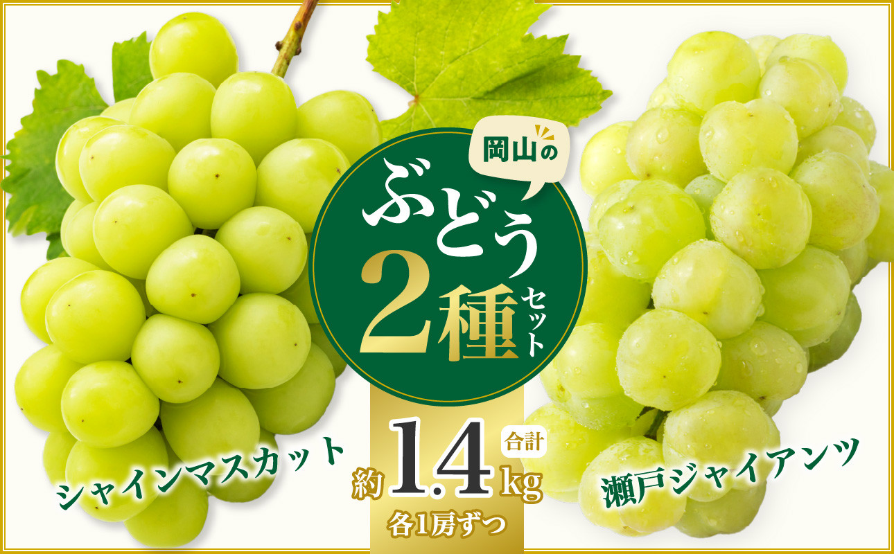 
            岡山県産シャインマスカット＆瀬戸ジャイアンツ 約1.4kg
          