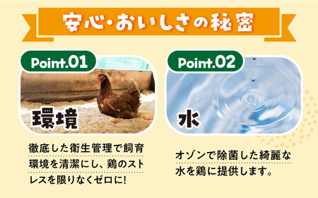 【月1回60個×6回定期便】家族のために選びたい「まつもとたまご」計360個＜松本養鶏場＞[CCD007] 生卵 たまご 鶏卵 卵 卵ギフト 卵 たまご 卵セット 卵焼き 卵かけご飯 ゆで卵 卵とじ 