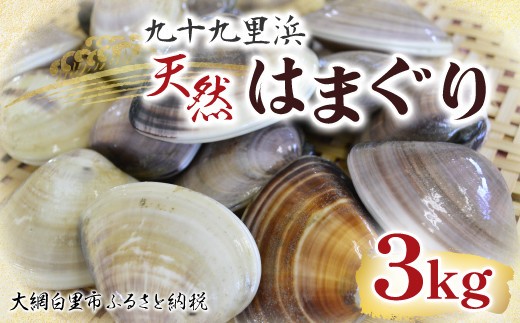九十九里浜　天然はまぐり　3kg【厳選】 ふるさと納税 はまぐり ハマグリ 蛤 天然 九十九里産 国産 ひな祭り 節句 おせち 千葉県 大網白里市 送料無料 P002
