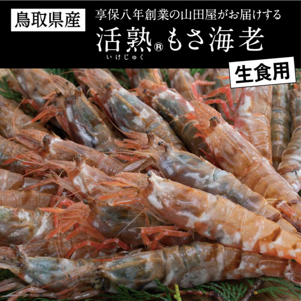 【ふるさと納税】鳥取県産 生食用もさ海老 山田屋 | えび 海老 刺身 天ぷら 塩焼き 煮つけ 急速冷凍 冷凍 海鮮 モサエビ