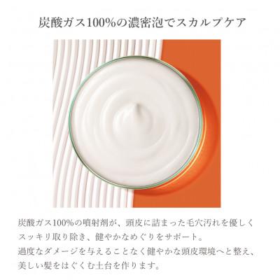 ふるさと納税 戸田市 Dr.MEDION ヘッドスパ シャンプー 200g《炭酸シャンプー》 |  | 03