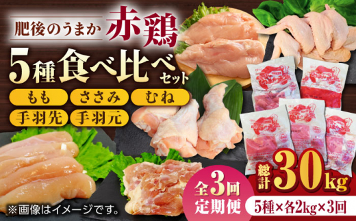 【3回定期便】肥後のうまか 赤鶏  5種食べ比べセット（モモ ささみ ムネ 手羽先 手羽元）各2kg【山内飼料 株式会社 熊本営業所】 九州産 肥後のうまか赤鶏 チキン   [ZAB012]