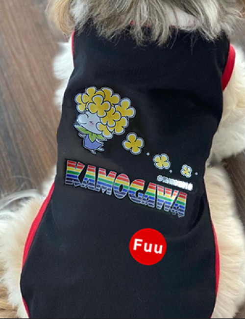 自分の身体にジャストフィットしたお洋服を着れば、わんちゃんたちもご機嫌♪