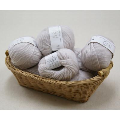 ふるさと納税 江南市 あみもねっと ウルグアイウール並太 3番色 10玉セット