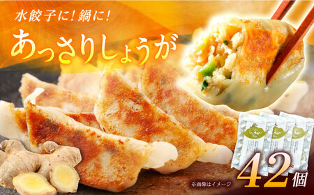 【お中元対象】【3パック】餃子屋ヒロの しょうが餃子【餃子屋ヒロ】開成町 餃子 点心 惣菜 冷凍[BDAS006-2]