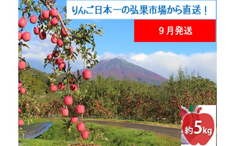 
            【9月発送】家庭用 つがる 約5kg【西目屋村産・青森りんご】 りんご 林檎 リンゴ 果物 フルーツ くだもの 旬 青森県産 お取り寄せ 詰め合わせ セット 常温 産地直送 送料無料 青森県 西目屋村
          