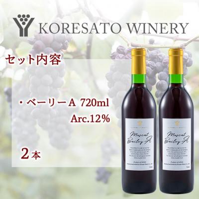 ふるさと納税 赤磐市 是里 ワイン 果実酒 ベーリーA 720ml  2本[NO5765-1262] |  | 01