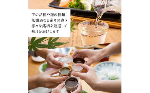 X-E1 【定期便・全5回】松露酒造の一升瓶2本定期便5回コース（各1800ml×2本）×5回【松露酒造】【X-E1】