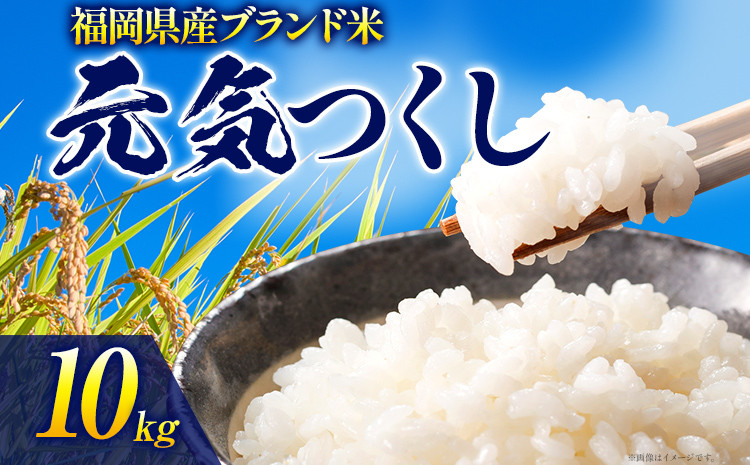 
            令和6年度産 福岡県産 元気つくし 10kg(5kg×2袋)  白米 お米 ご飯 米 精米 送料無料 お取り寄せグルメ お取り寄せ 福岡 お土産 九州 福岡土産 取り寄せ グルメ 福岡県
          