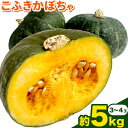 【ふるさと納税】 こふき かぼちゃ 南瓜 約5kg 3~4玉 《10月中旬-11月中旬頃出荷》高橋賢三 送料無料 北海道 本別町 北海道 十勝 本別町産 かぼちゃ 栗かぼちゃ パンプキン ホクホク 野菜