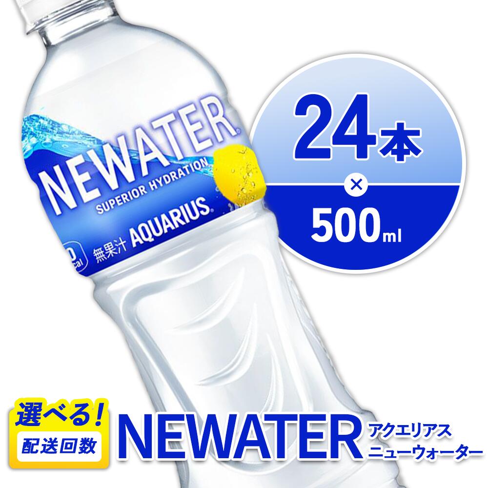 【ふるさと納税】【発送回数 選べる】アクエリアス ニューウォーター 500ml PET【コカ・コーラ】ペットボトル 1ケース(24本) 定期便 2回(48本)3回(72本) スポーツドリンク スポドリ カロリーゼロ 熱中症対策 水分補給 清涼飲料水 送料無料