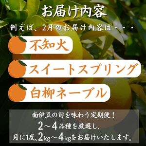 【定期便】旬の柑橘セット 12ヶ月の定期便　【 柑橘 】