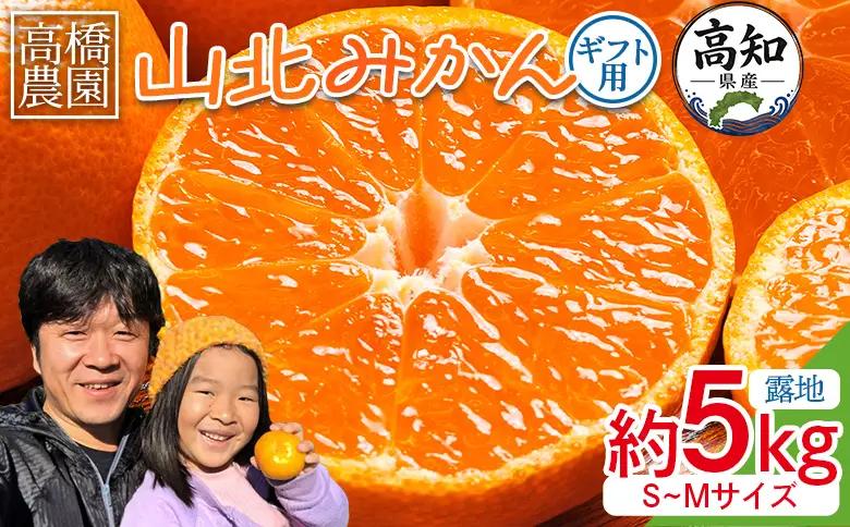 【2026年11月中旬より順次配送】山北みかん 約5kg 甘い みかん th-0029