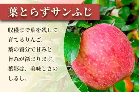 完熟！りんご 葉とらずサンふじ 10kg [1088] | 青森 つがる