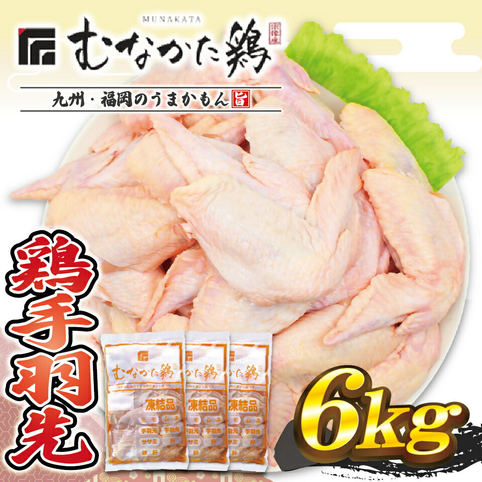 【ふるさと納税】手羽先 6kg （平飼い） 宗像産 ブランド鶏 ＜むなかた鶏＞ 【JAほたるの里】_HA1421 送料無料 鶏肉 若どり チキン 平飼い ボリューム お得 ピリ辛チキン パーティー 大家族