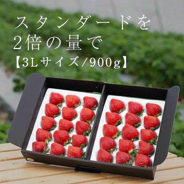 【2027年発送】完熟 あまおう 3Lサイズ 900g | あまおう 産直