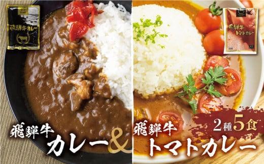 【3ヶ月以内発送】飛騨牛カレー (3袋) 飛騨牛トマトカレー (2袋)  計5食  | 訳あり 飛騨牛 肉 牛 カレー ビーフカレー 簡易包装 レトルトカレー トマトカレー 人気 おすすめ おいしい 便利 飛騨高山 ふるさと清見 DC003VC13
