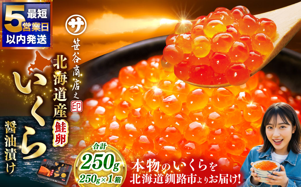 【5営業日以内発送】笹谷商店 新物 北海道産いくらしょう油漬250g ふるさと納税 いくら _F7F-9676