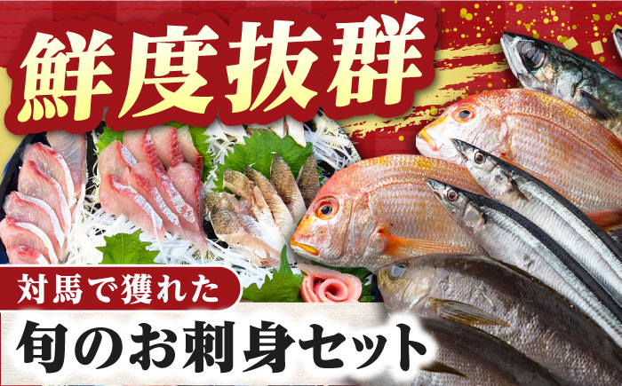 【2025年6月から順次発送】対馬 イカ 姿造り と 刺身 の セット 約600g【真心水産】《対馬市》新鮮 海鮮 いか 冷凍 刺身 ケンサキイカ 島魚 海鮮丼 手巻き寿司 [WAK011]