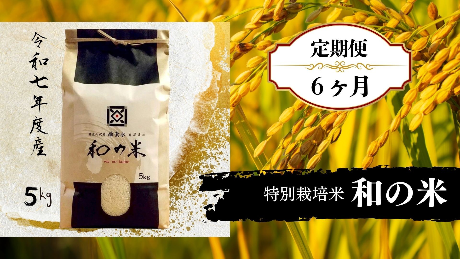 
                  【6ヵ月定期便】《 令和7年産 》和の米「酵素米」　精米5kg×6回 ／ 米 こめ コメ お米 おこめ コシヒカリ こしひかり 和の米 酵素米 特別栽培認証 白米 精米 ごはん ご飯 令和7年産 5kg 定期便 茨城県 利根町 送料無料
                