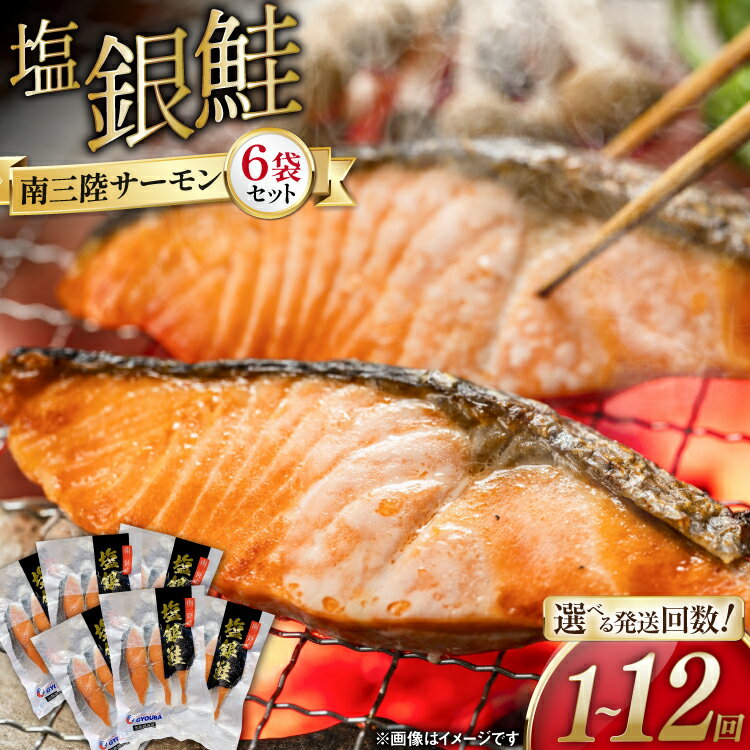 【ふるさと納税】鮭 切り身 塩銀鮭 パック 3切入 6袋 【選べる発送回数】 [たみこの海パック 宮城県 南三陸町 30ae0040] 冷凍 サーモン 銀鮭 シャケ 切身 さけ サケ 国産 小分け 個包装 定期便