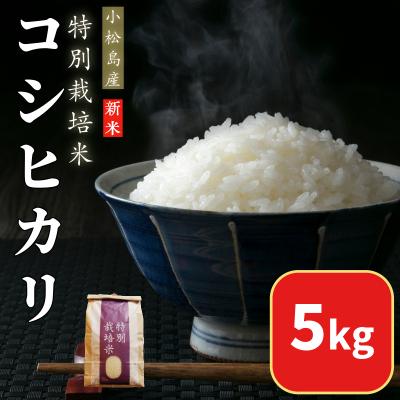 ふるさと納税 小松島市 【2025年9月順次発送】 令和7年産 新米 白米 コシヒカリ 5kg 特別栽培米