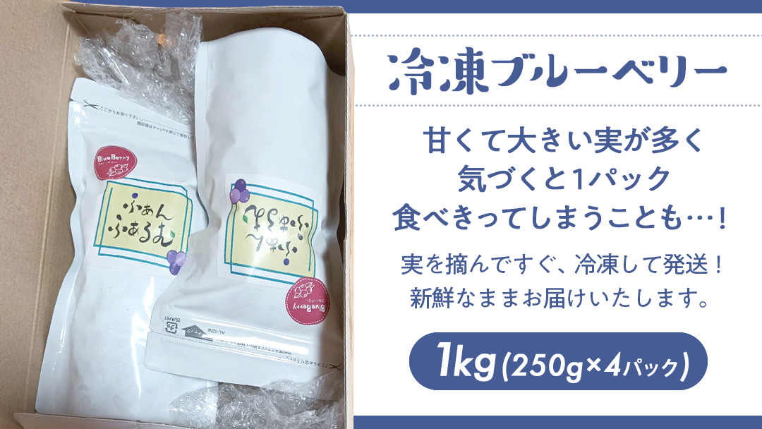 【2025年7月中旬から発送開始】 茨城県産 冷凍 ブルーベリー 合計 1kg (250g×4袋) 多品種 果実 果物 くだもの フルーツ おやつ ブルーベリー ベリー ジャム 小分け [DZ018s