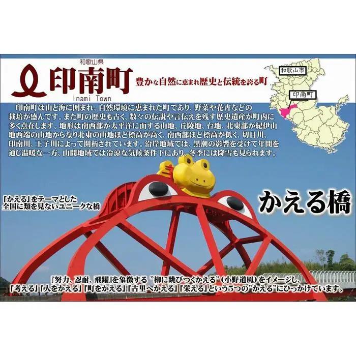 みかんこい梅　100g×5個