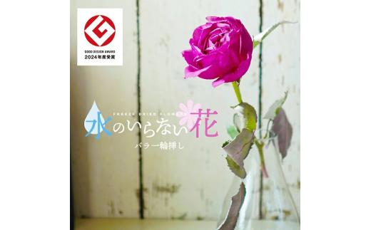 バラ 一輪挿し ドライフラワー 花瓶付き フリーズドライ 薔薇 ばら 花 インテリア フラワーアレンジメント プレゼント 贈答 贈り物 御祝 入学 退職 祝 誕生日 記念日 母の日 Lotus Garden 山形 酒田 SL0198