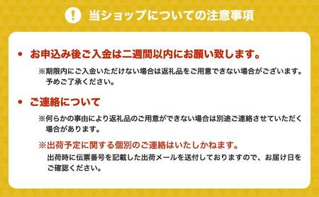 【先行受付】山口果樹園 訳あり 不知火  約5kg L～3L混合【2025年2月上旬から4月上旬発送予定】不知火 しらぬい 蜜柑 くだもの フルーツ 果物
