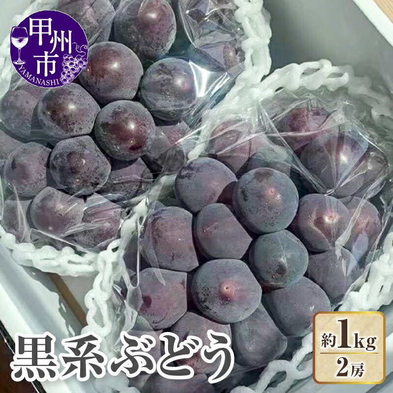 【ふるさと納税】 ぶどう 2026年 先行予約 2房 1kg 藤稔 巨峰 ピオーネ ブラックビート 期間限定 数量限定 旬 8月 9月 発送 山梨県産 黒系ぶどう ブドウ 葡萄 果物 フルーツ 冷蔵 クール便 山梨県 甲州市 （KFT） B11-1812