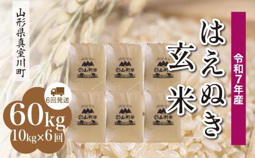 
                  ＜令和7年産米＞ はえぬき 【玄米】 60kg定期便 （10kg×6回発送）＜配送時期指定可＞　山形県真室川町
                