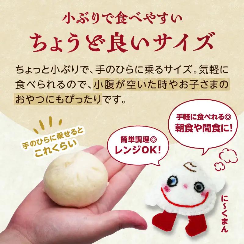 自家製天然酵母　手づくり肉まんセット J07009