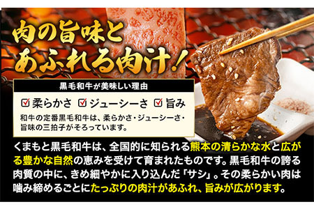 くまもと黒毛和牛 6種 サーロイン リブロース 内モモ 希少部位 500g 牛肉 焼肉用 冷凍 《30日以内に出荷予定(土日祝除く)》 くまもと黒毛和牛 黒毛和牛 焼肉 肉 お肉 熊本県 玉東町｜ブラ