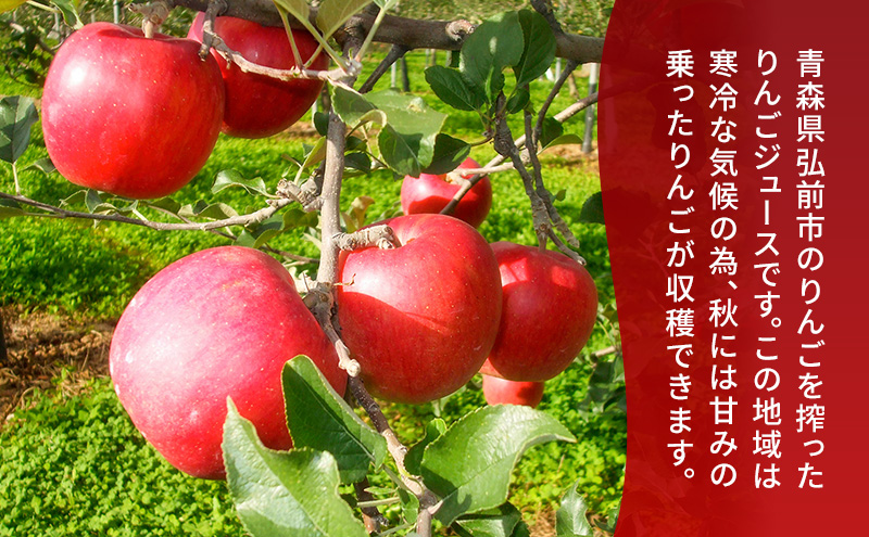 ストレートりんごジュース 【 AOMORI　APPLE 】 250ml × 12本