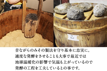 味噌汁 ギフト 14g×20食 田河東洋男商店