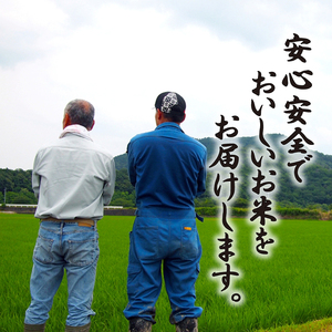 【令和7年度産】 ミルキークイーン 約9kg 白米 特別栽培米 精米 滋賀県 彦根市 ミルキークイーン