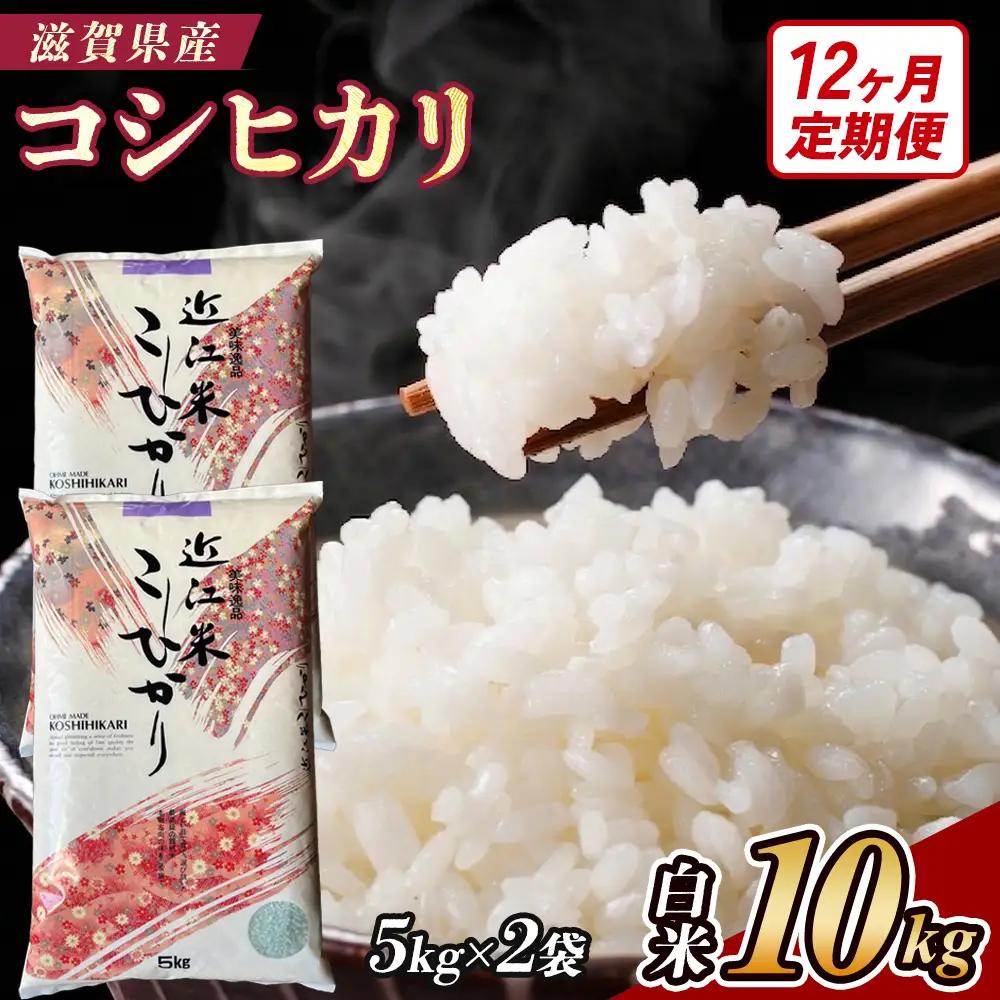 【令和8年産 新米 先行予約】【定期便】近江米コシヒカリ 10kgx12回定期便（精米）※2026年9月～発送