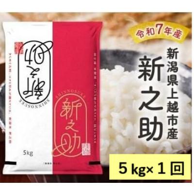 ふるさと納税 上越市 【10月中旬より順次出荷】令和7年産　新潟県上越市産　新之助　白米　5kg