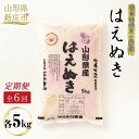 【ふるさと納税】【定期発送】米食味鑑定士厳選新庄産はえぬき（精米）5kg【全6回】 はえぬき 米 定期便 ブランド米 ギフト 贈り物 贈答 山形県 新庄市 F3S-1365