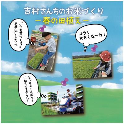 ふるさと納税 十日町市 |従来品種| 魚沼産 コシヒカリ 精米 5kg 新潟県 十日町市 吉村さんちのお米 |  | 01